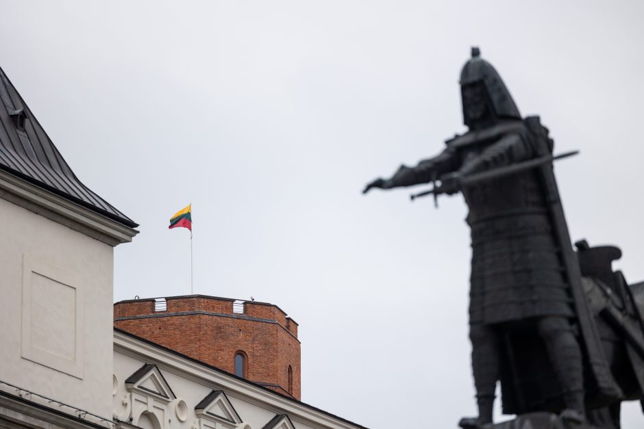 Seimo vadovė: savanoriai, iškėlę vėliavą Gedimino bokšte, dabar Lietuva didžiuotųsi