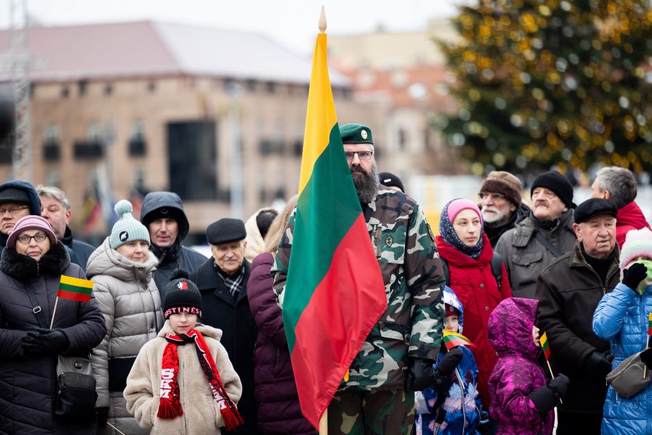 Seimo vadovė: savanoriai, iškėlę vėliavą Gedimino bokšte, dabar Lietuva didžiuotųsi