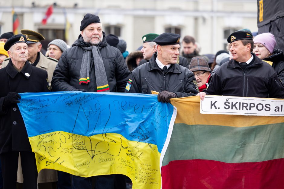 Seimo vadovė: savanoriai, iškėlę vėliavą Gedimino bokšte, dabar Lietuva didžiuotųsi