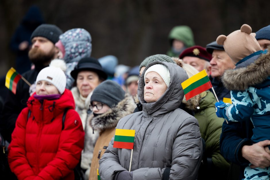 Seimo vadovė: savanoriai, iškėlę vėliavą Gedimino bokšte, dabar Lietuva didžiuotųsi