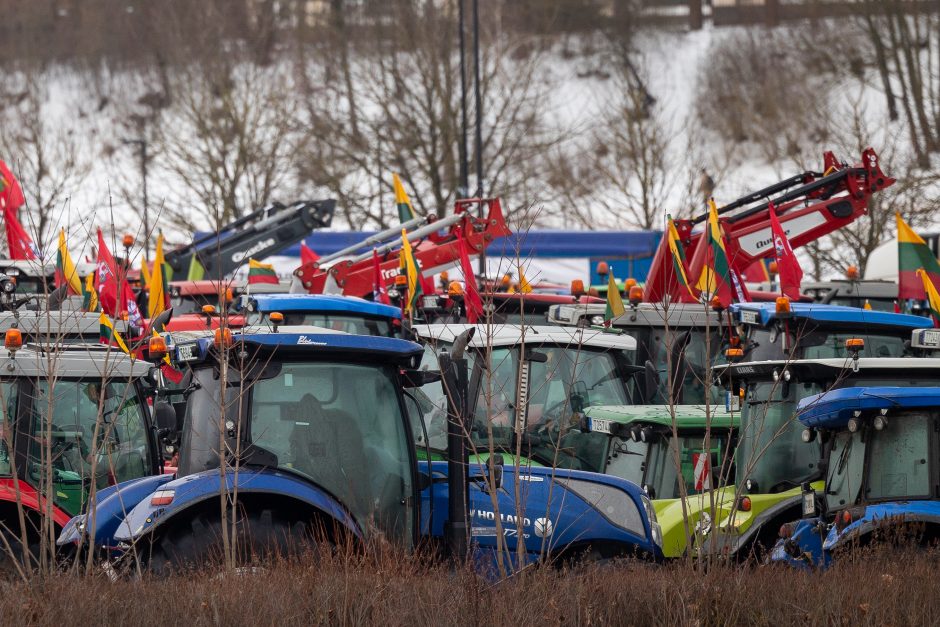 Dėl daugiamečių pievų protestuojantys ūkininkai baiminasi finansinių nuostolių: ko reikalauja?