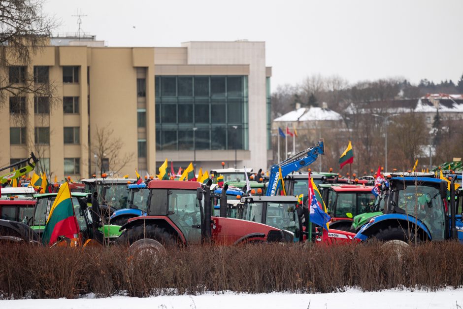 Dėl daugiamečių pievų protestuojantys ūkininkai baiminasi finansinių nuostolių: ko reikalauja?