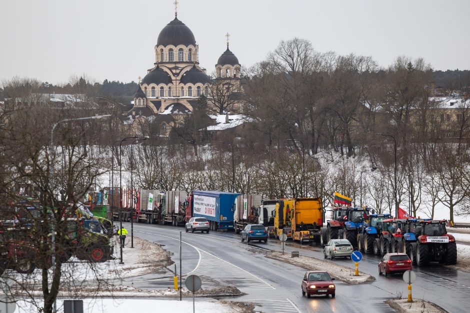 Dėl daugiamečių pievų protestuojantys ūkininkai baiminasi finansinių nuostolių: ko reikalauja?