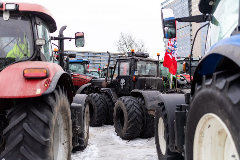 Dėl daugiamečių pievų protestuojantys ūkininkai baiminasi finansinių nuostolių: ko reikalauja?