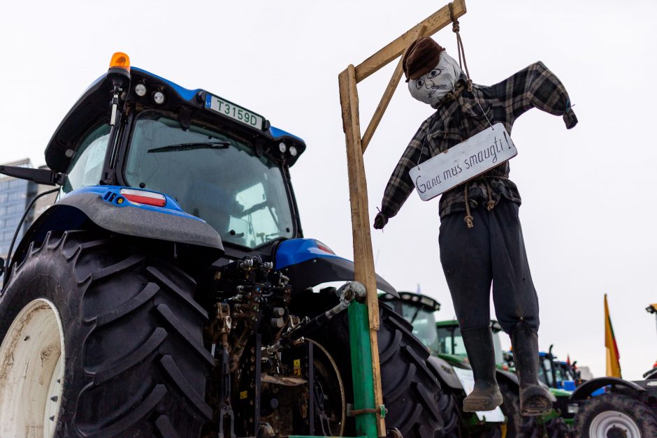 Dėl daugiamečių pievų protestuojantys ūkininkai baiminasi finansinių nuostolių: ko reikalauja?