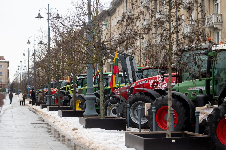 Dėl daugiamečių pievų protestuojantys ūkininkai baiminasi finansinių nuostolių: ko reikalauja?