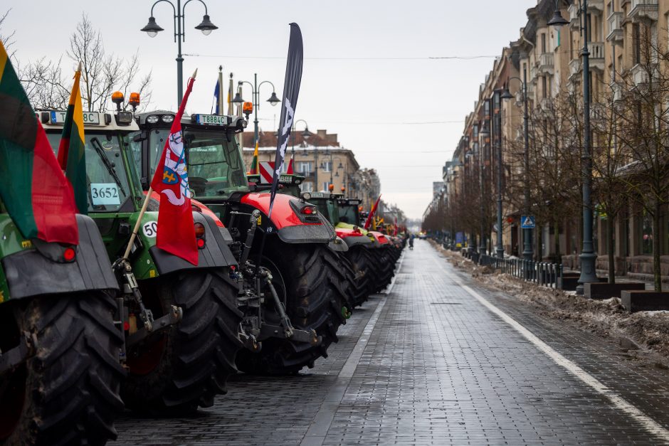 Dėl daugiamečių pievų protestuojantys ūkininkai baiminasi finansinių nuostolių: ko reikalauja?