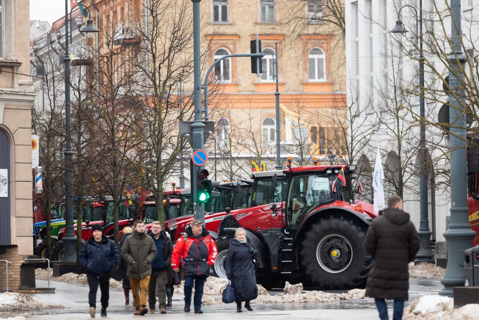 Dėl daugiamečių pievų protestuojantys ūkininkai baiminasi finansinių nuostolių: ko reikalauja?