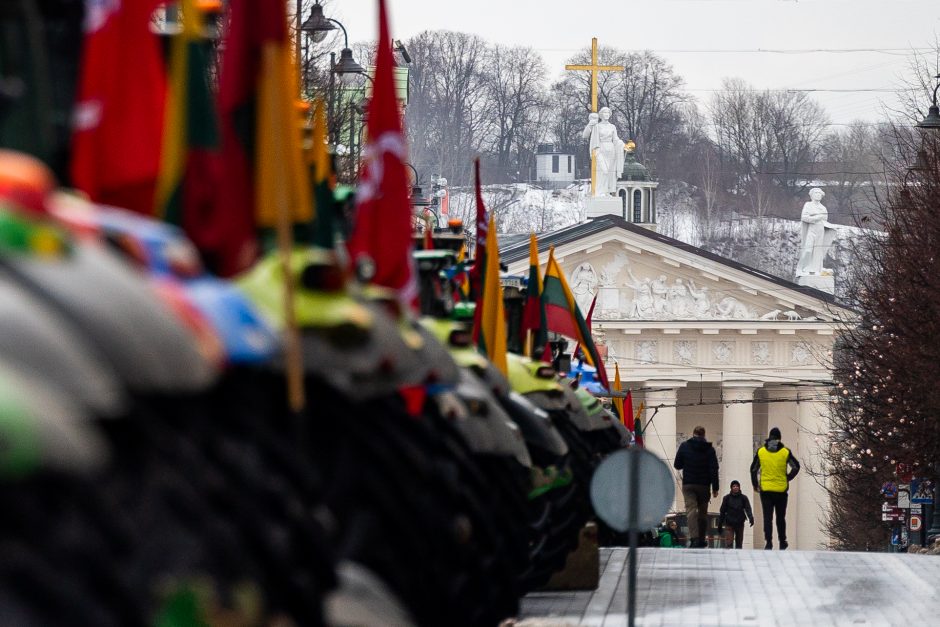 Dėl daugiamečių pievų protestuojantys ūkininkai baiminasi finansinių nuostolių: ko reikalauja?