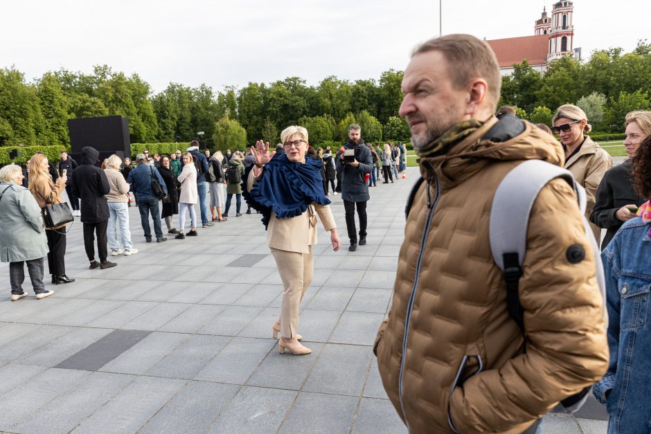 I. Šimonytė apie prezidento pasisakymus: vertinu tai kaip prastą humorą