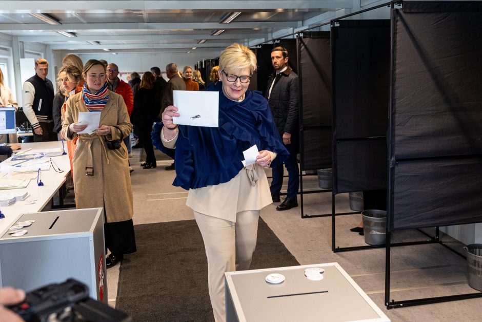 Baigiasi išankstinis balsavimas prezidento rinkimuose ir referendume