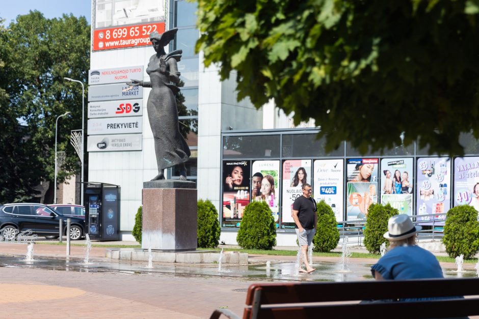 Tauragės ir Šilalės rajonų poligonuose neplanuojama rengti šaudymo pratybų