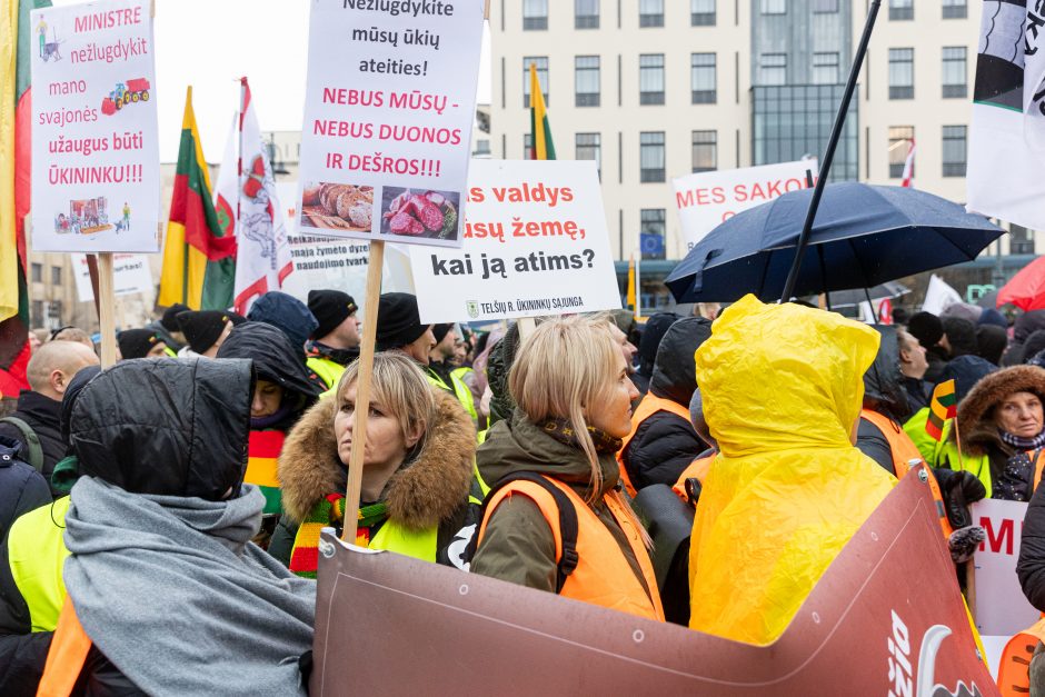 Po K. Navicko pasisakymo žemdirbiai ėmė skanduoti: „Gėda! Gėda!“