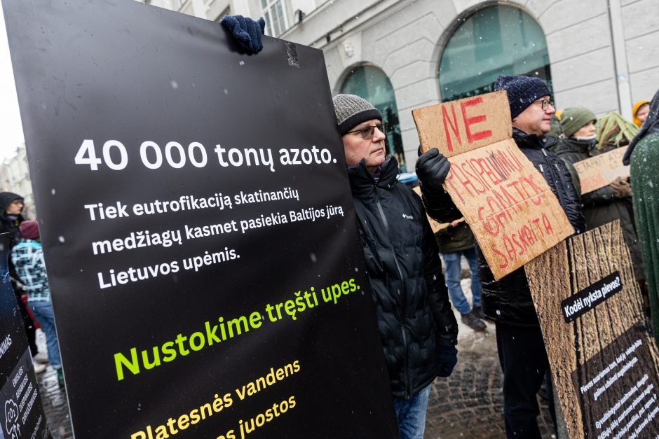 Vilniuje – aplinkosaugininkų kontroprotestas: „Gėda pelėda, paukščiai nebegieda“