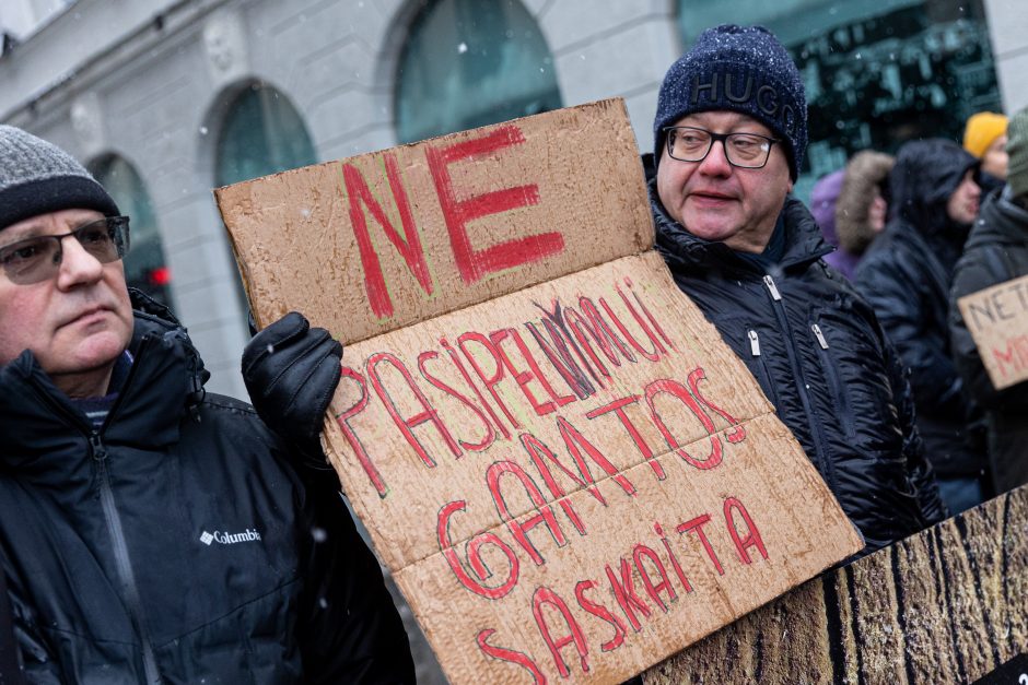 Vilniuje – aplinkosaugininkų kontroprotestas: „Gėda pelėda, paukščiai nebegieda“