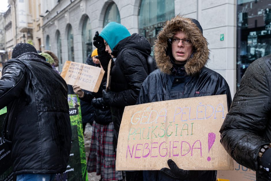 Vilniuje – aplinkosaugininkų kontroprotestas: „Gėda pelėda, paukščiai nebegieda“