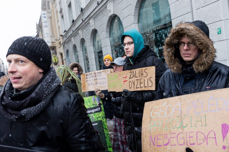 Vilniuje – aplinkosaugininkų kontroprotestas: „Gėda pelėda, paukščiai nebegieda“