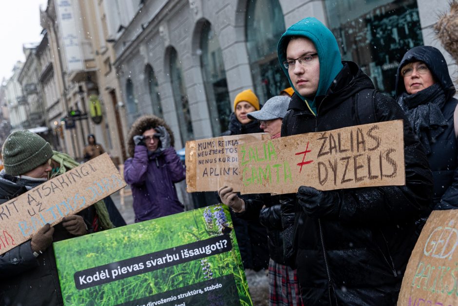 Vilniuje – aplinkosaugininkų kontroprotestas: „Gėda pelėda, paukščiai nebegieda“