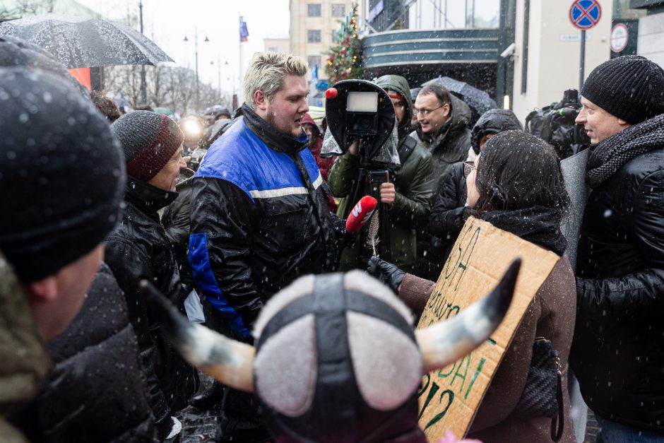 Vilniuje – aplinkosaugininkų kontroprotestas: „Gėda pelėda, paukščiai nebegieda“