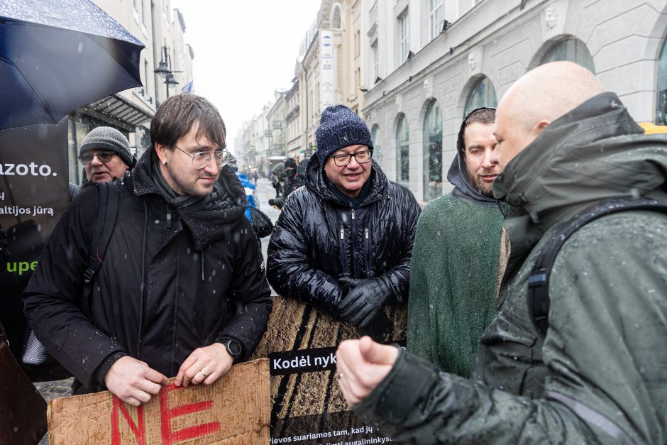 Vilniuje – aplinkosaugininkų kontroprotestas: „Gėda pelėda, paukščiai nebegieda“