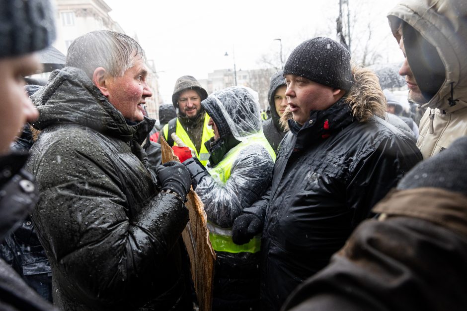 Vilniuje – aplinkosaugininkų kontroprotestas: „Gėda pelėda, paukščiai nebegieda“