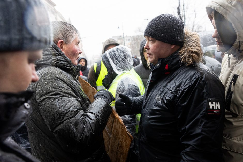 Vilniuje – aplinkosaugininkų kontroprotestas: „Gėda pelėda, paukščiai nebegieda“