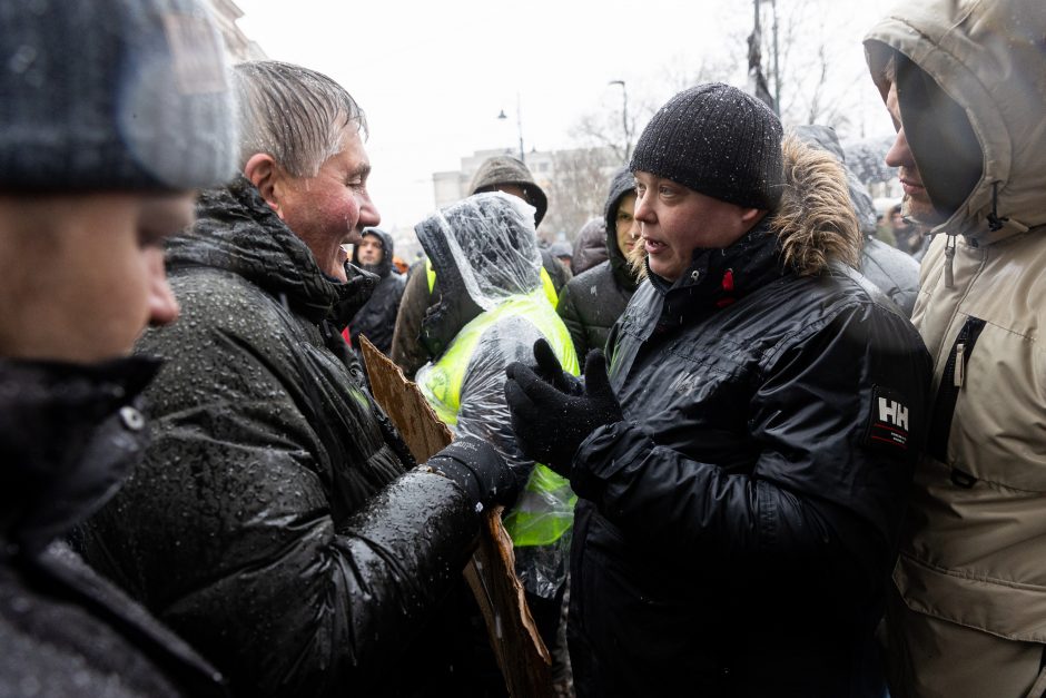 Vilniuje – aplinkosaugininkų kontroprotestas: „Gėda pelėda, paukščiai nebegieda“