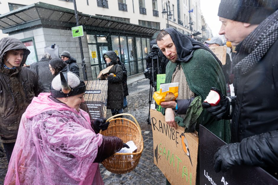 Vilniuje – aplinkosaugininkų kontroprotestas: „Gėda pelėda, paukščiai nebegieda“