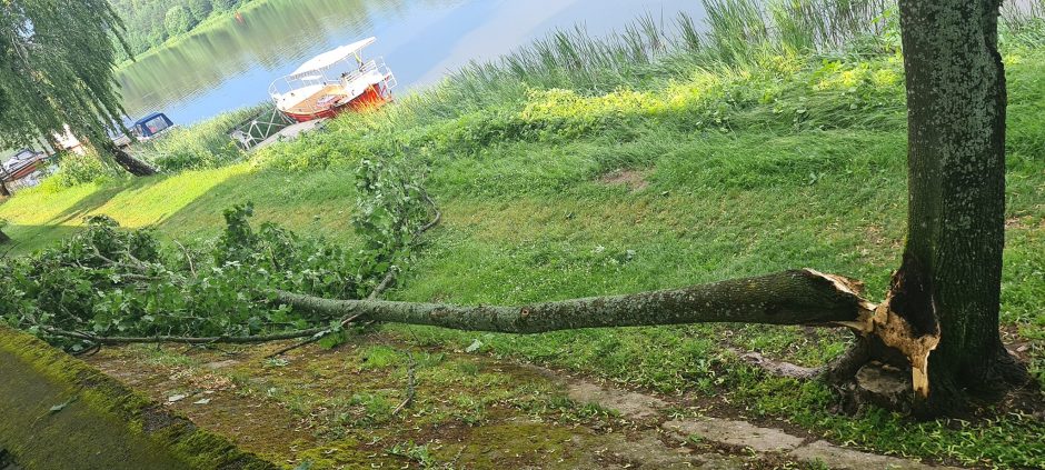 Lietuvoje – stiprus lietus, žaibuoja, virsta medžiai