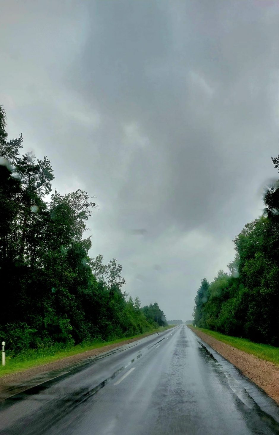 Lietuvą merkia stiprus lietus, košia vėjas: lūžta medžiai, tvinsta automobilių stovėjimo aikštelės