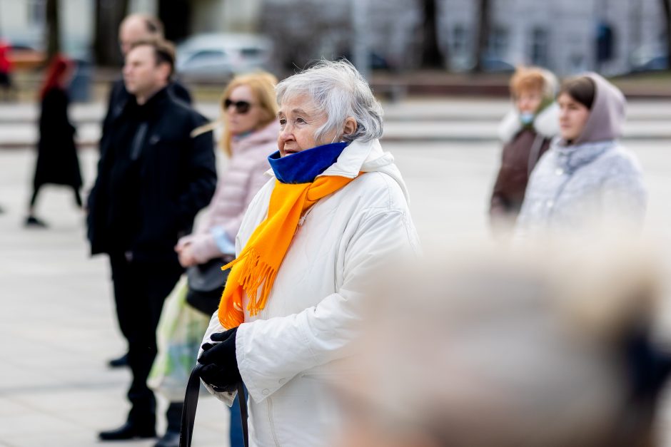 Kelios dešimtys žmonių Vilniuje mitingavo prieš karą Ukrainoje: neturime teisės pavargti