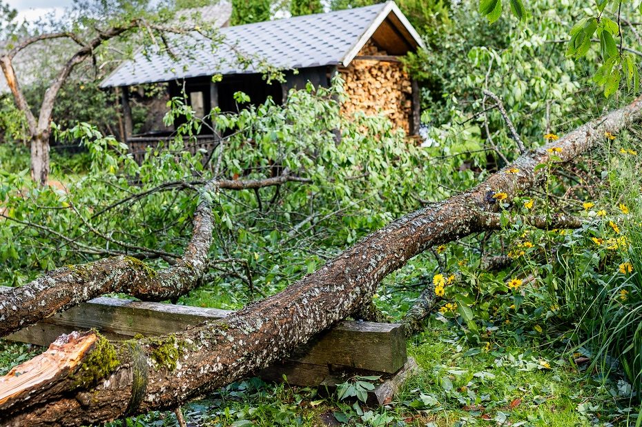 Dėl audros padarinių paskelbta ekstremali situacija dviejose Pakruojo rajono seniūnijose