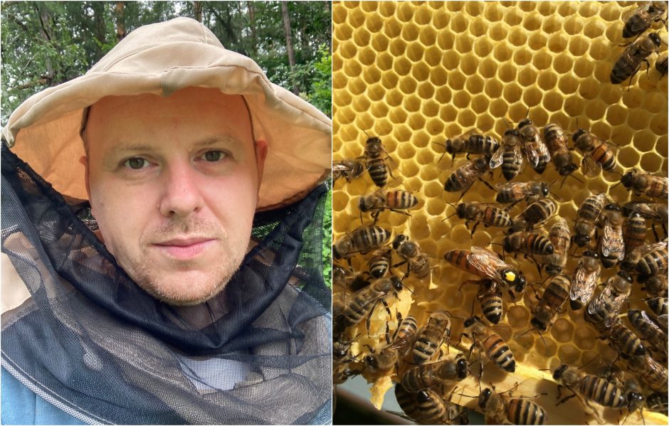 Bitininkas M. Kašelionis: bites reikia suprasti