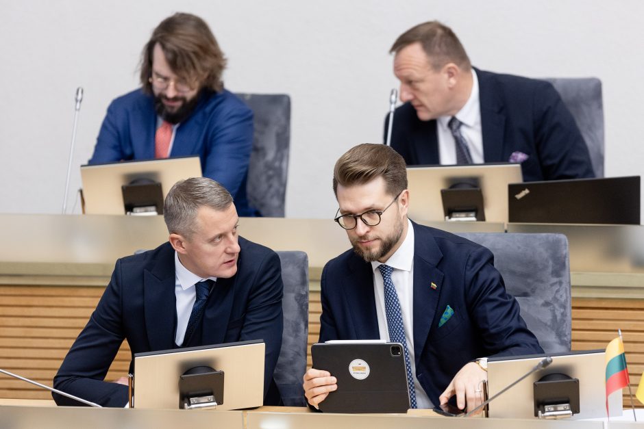 Seimas patvirtino Palucko Vyriausybės programą