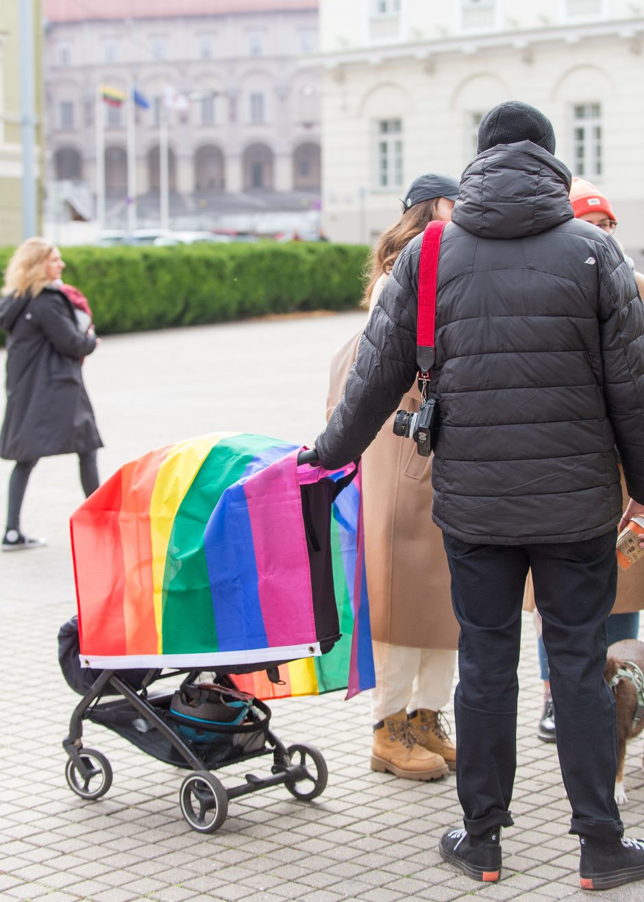 Prie Prezidentūros LGBT bendruomenę palaikė ir žinomi žmonės: žėrė kritiką valstybės vadovui