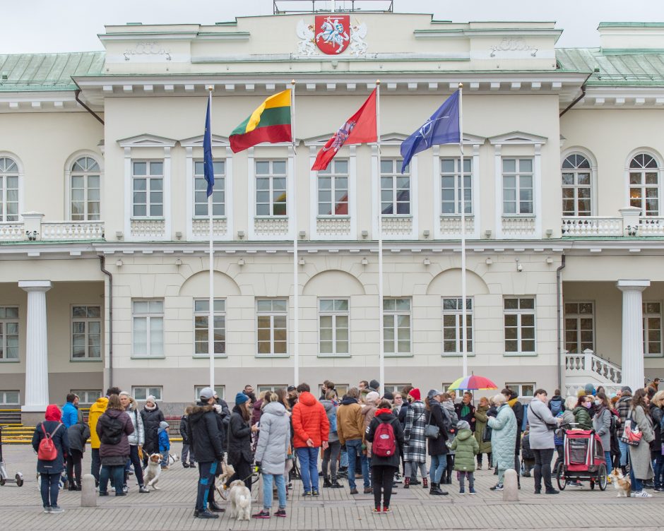 Prie Prezidentūros LGBT bendruomenę palaikė ir žinomi žmonės: žėrė kritiką valstybės vadovui