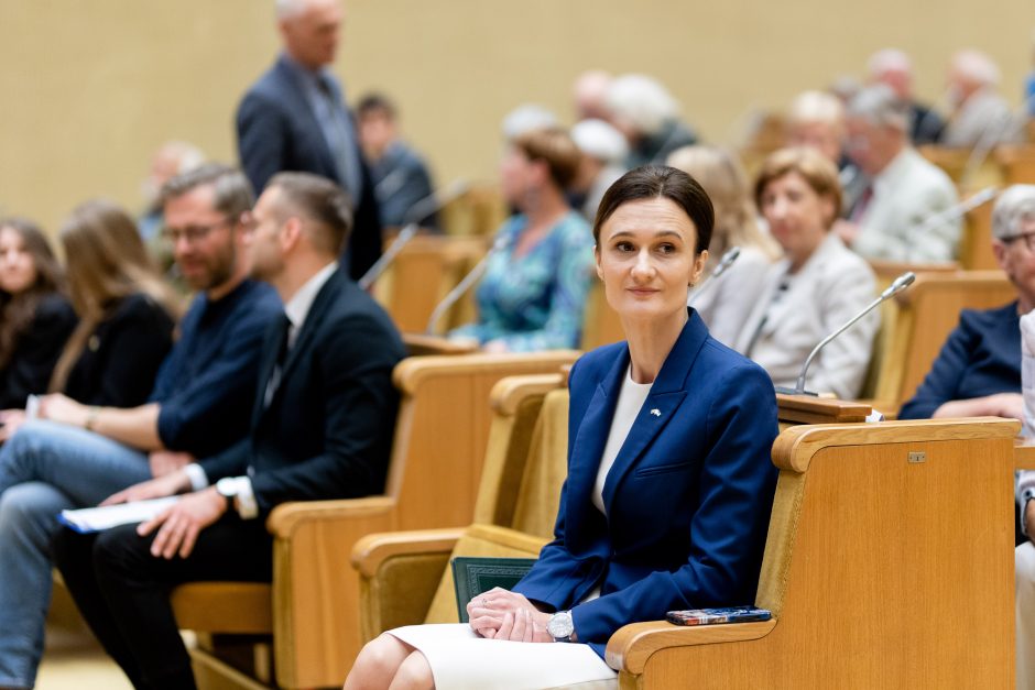 V. Čmilytė-Nielsen: Apeliacinio teismo sprendimas „MG Grupės“ byloje – bloga žinia partija