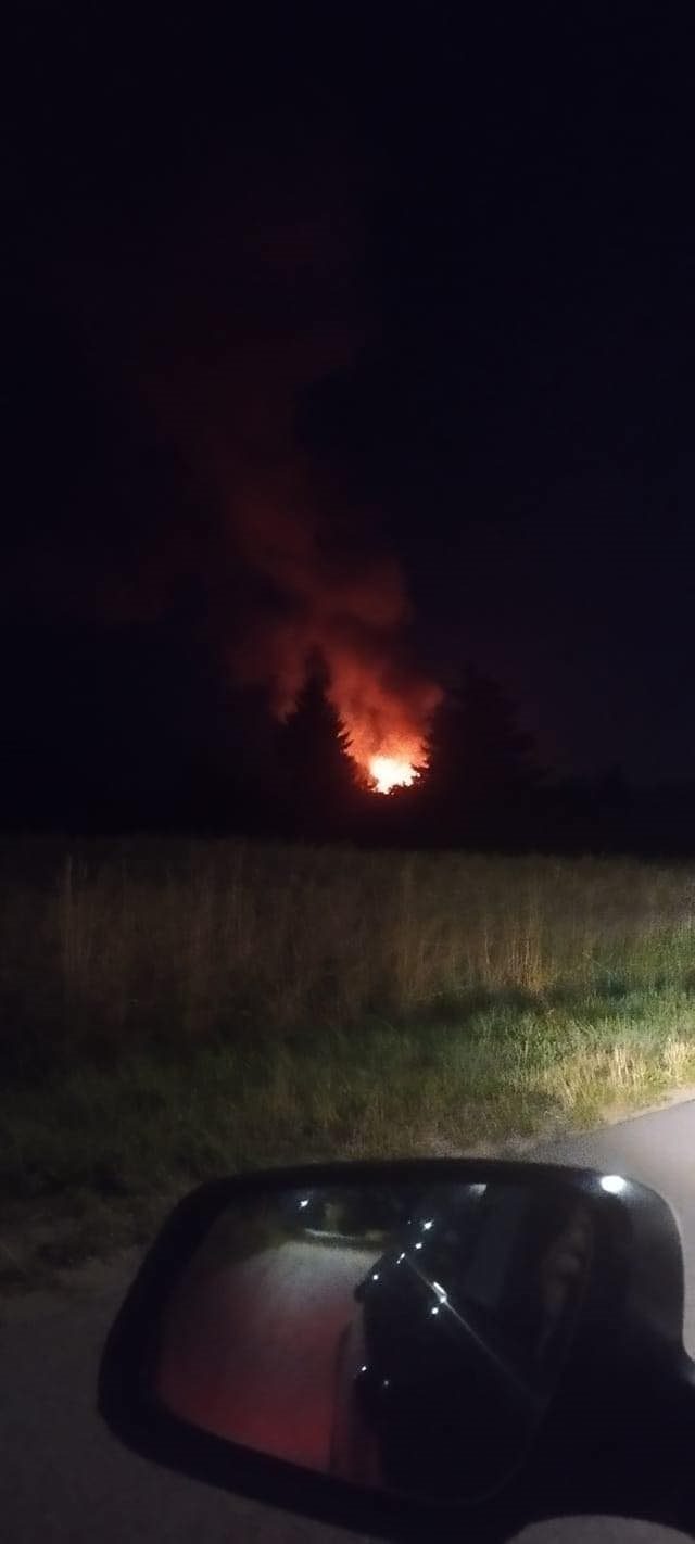 Lapių sąvartyne – gaisras: dirbo gausios ugniagesių pajėgos (papildyta)