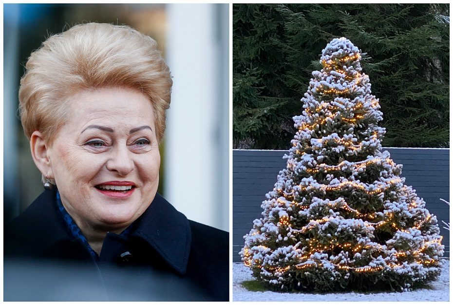 D. Grybauskaitė įsisuko į šventinį sūkurį: Kalėdos vis vien ateis