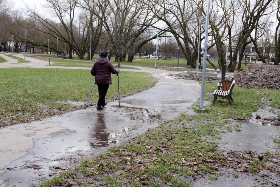 Ant dviračių tako – pelkė