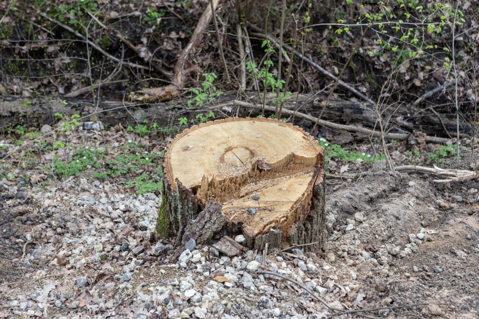 Nesibaigiantys „Regitros“ kalno remonto darbai: abejojama ir kokybe