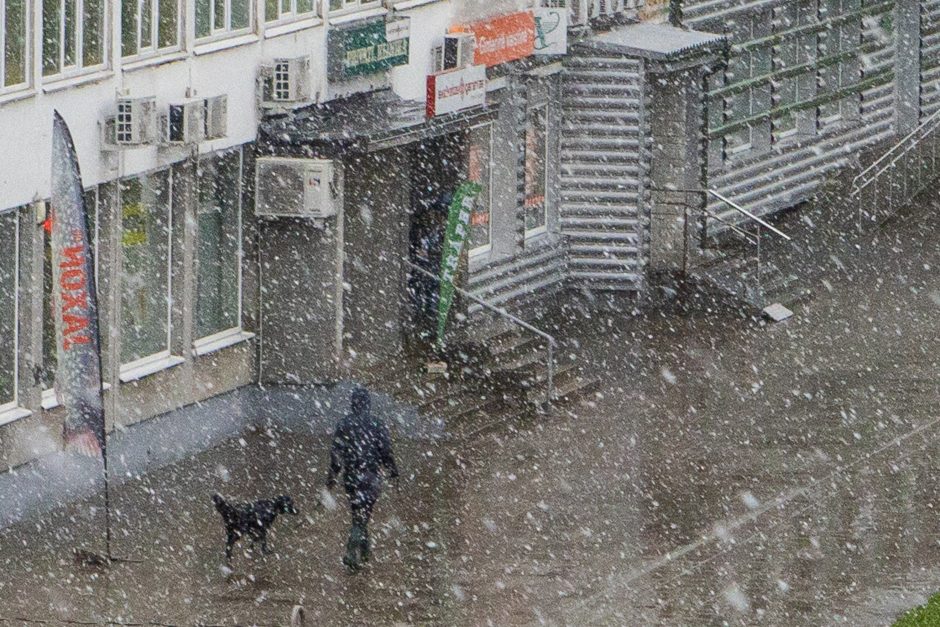 Šlabdriba ir sniegas kloja Kauną