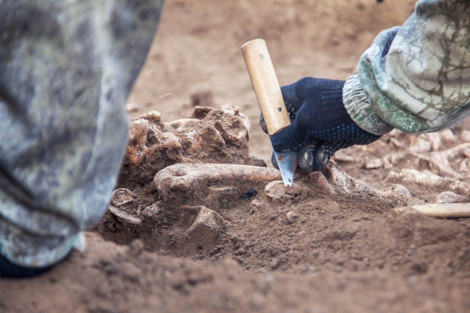 Rekonstruojamoje Panevėžio Vasario 16-osios gatvėje darbus pradeda archeologai