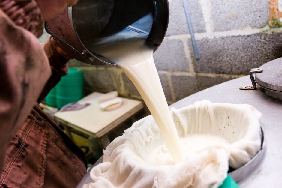 Klaipėdietė širsta dėl daugiabučių kiemuose pieno produktais prekiaujančio ūkininko higienos