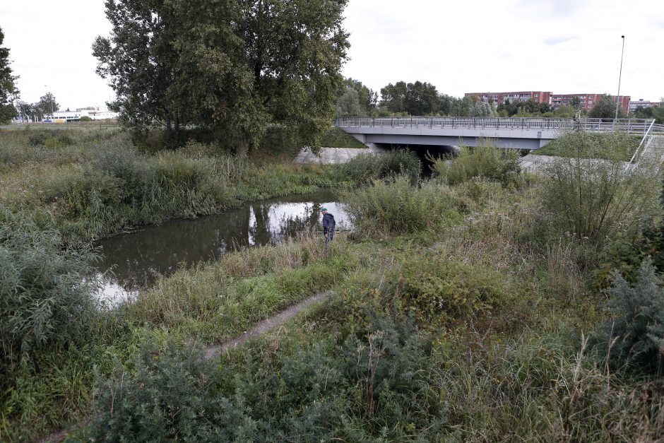 Kas teršia Smeltalės upelį?