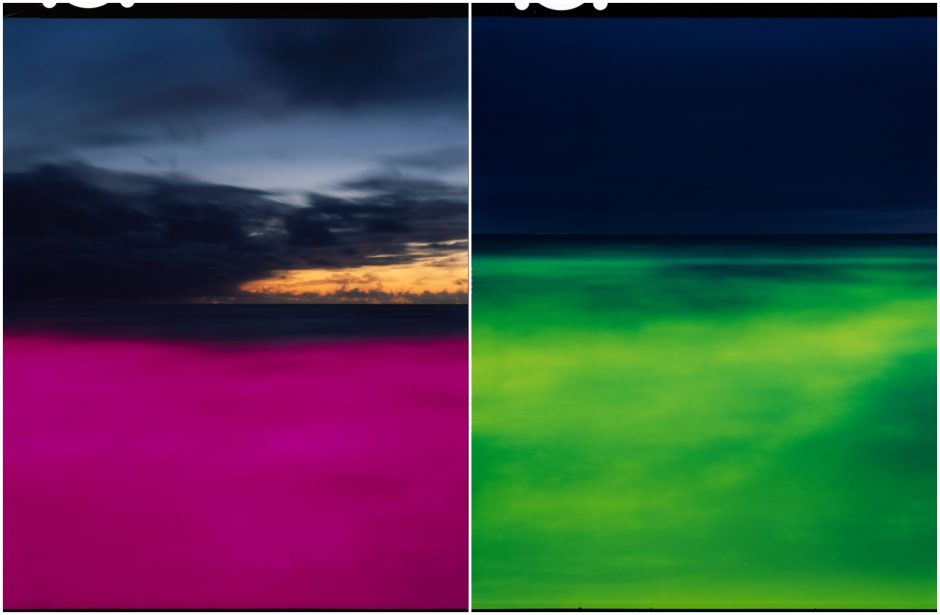 „Naujos jūros“: fotomenininko P. Makausko žvilgsnis į klimato krizę