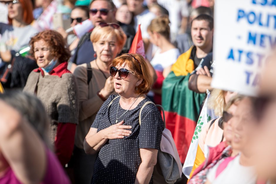 Žinomi žmonės apie mitingą: jau geriau Kaziuko mugė centre nei „šeimų gynėjai“