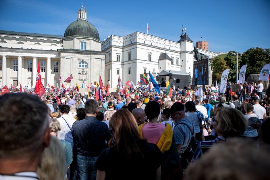 Mitinguotoja: turiu tris vaikus, per prievartą „subadė“ mano studentą