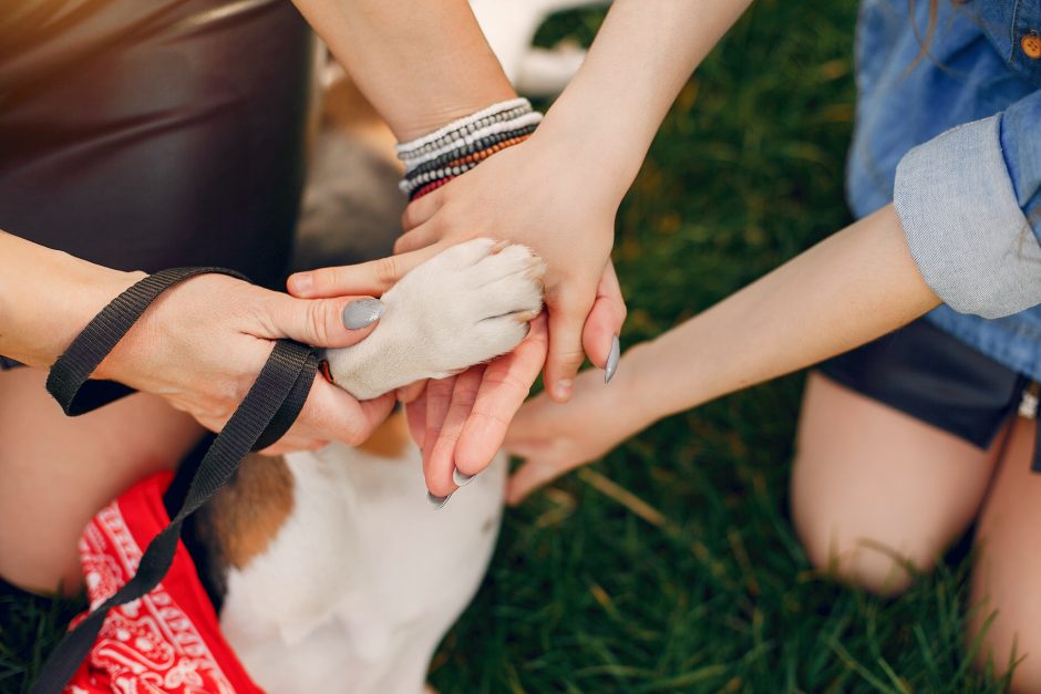 VMVT vadovas: įvedėme 24 valandų budėjimą departamentų lygiu