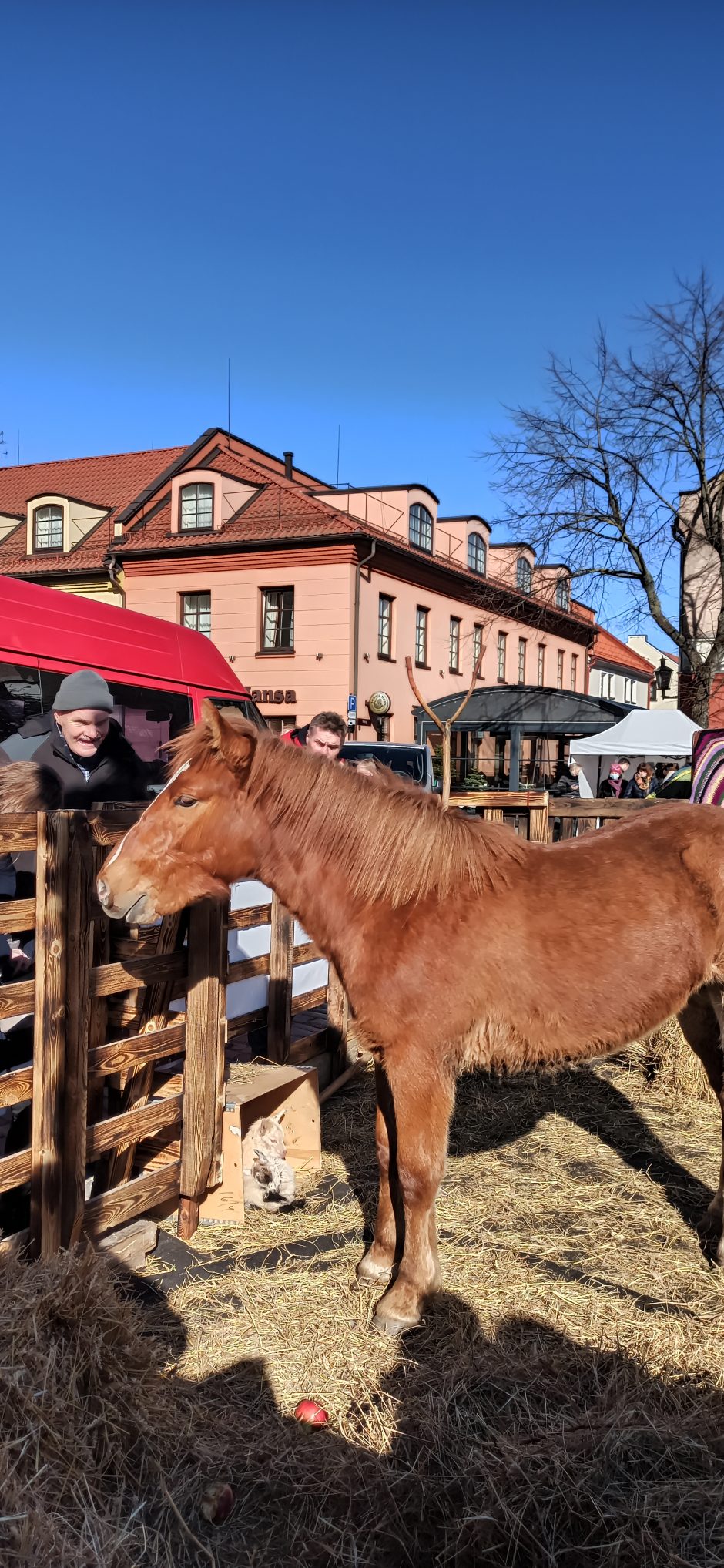 Pavasariškos nuotaikos: Klaipėdos senamiestyje – Kaziuko mugė